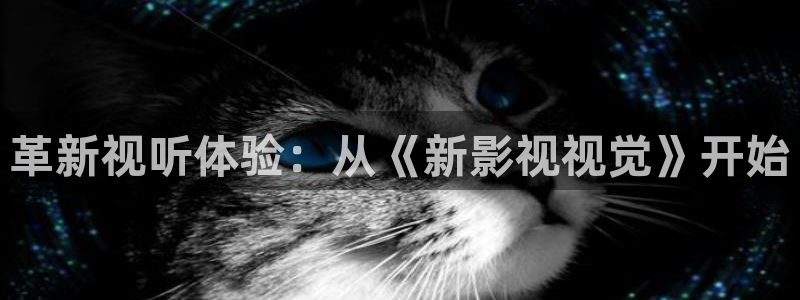 jizz69视频：革新视听体验：从《新影视视觉》开始