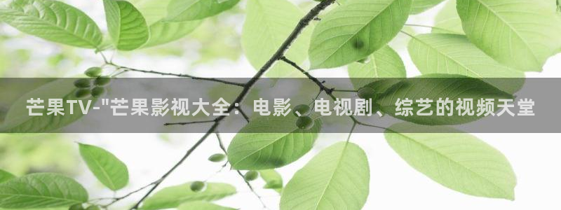jizz日本69视频：芒果TV-\