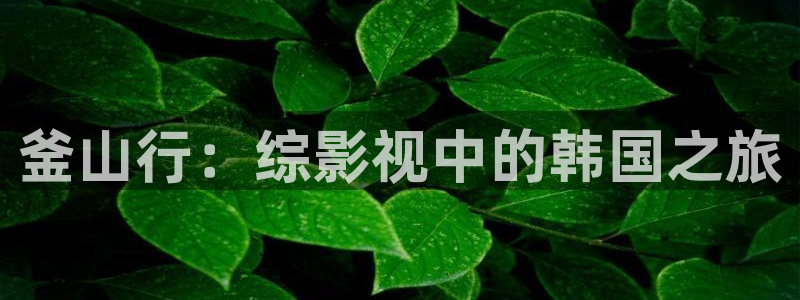 越南69视频：釜山行：综影视中的韩国之旅
