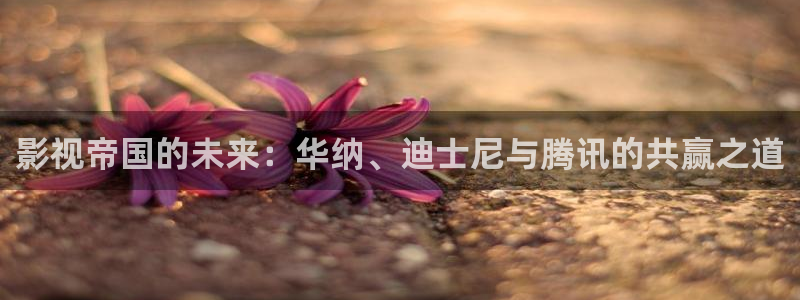 巴西人69视频：影视帝国的未来：华纳、迪士尼与腾讯的共赢之道