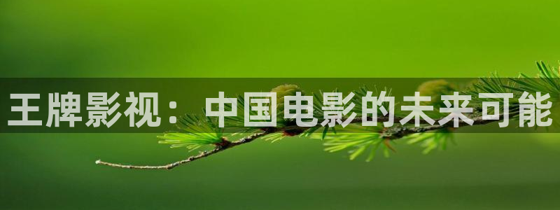 看69视频：王牌影视：中国电影的未来可能