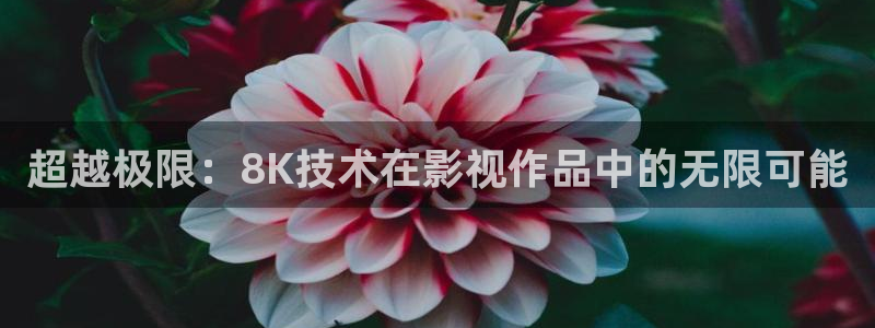 国内69视频：超越极限：8K技术在影视作品中的无限可能