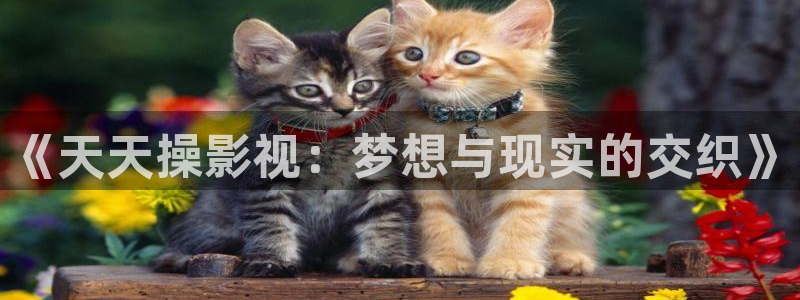 69视频永久播放：《天天操影视：梦想与现实的交织》