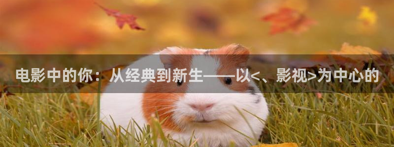 69视频下载网站：电影中的你：从经典到新生——以<、影视>为中心的