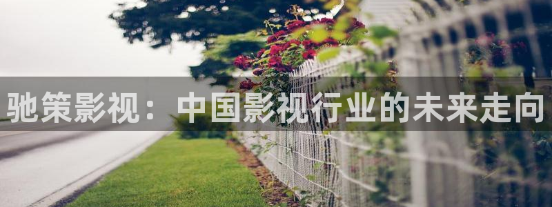 xx 69视频：驰策影视：中国影视行业的未来走向